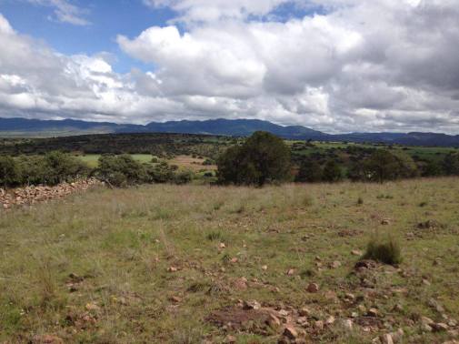 25haMolinadeAguaZarca