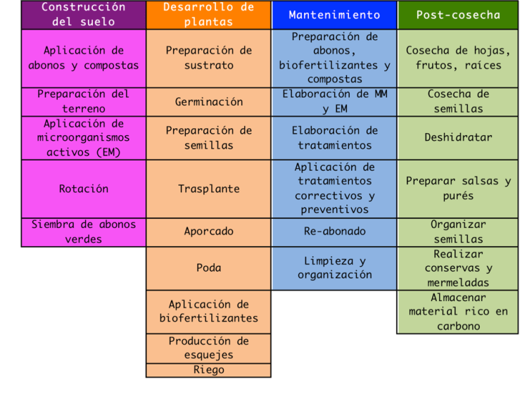Actividades del huerto.png