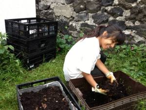 1184835_710225892336616_1567429540_n