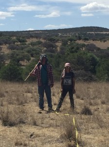 Muestreo y levantamiento de datos