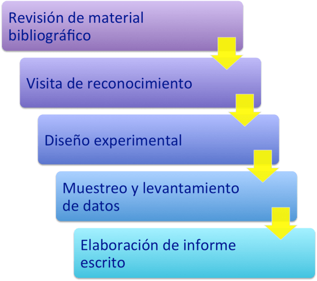 Proceso diagnósticos