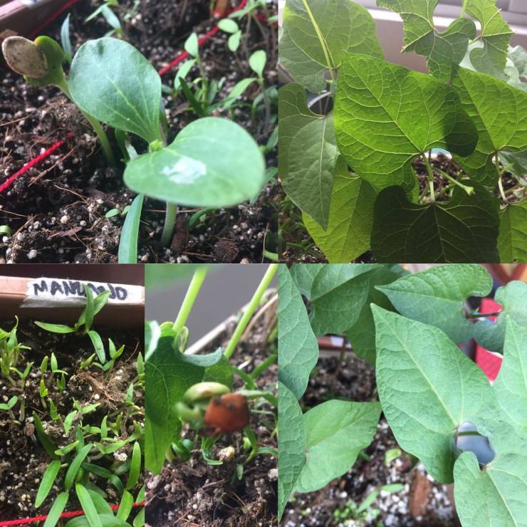 21875547_10212952252935596_1797101962_o