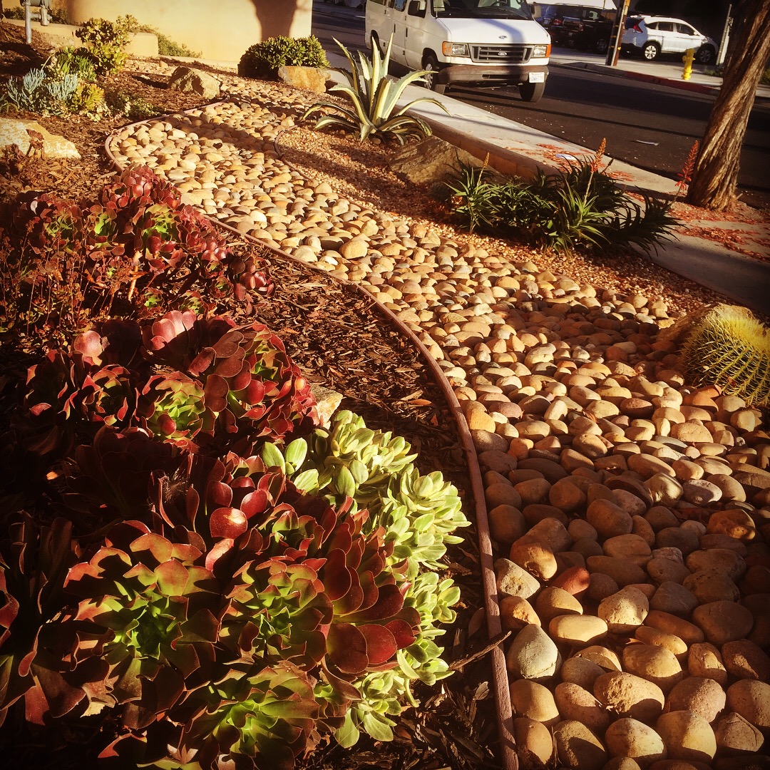 2017-11-21 15.38.00.jpg