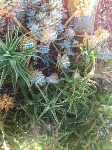 2017-11-21 15.38.47.jpg