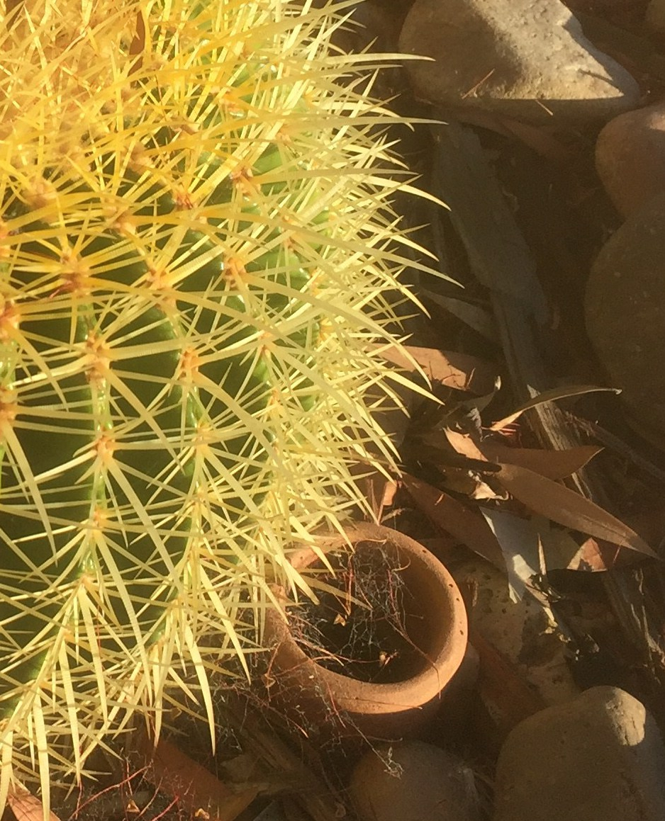 Water system: mud pots