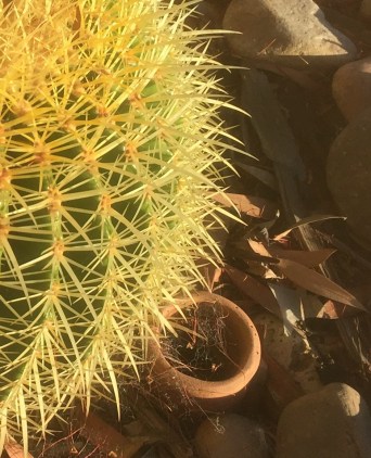 Water system: mud pots