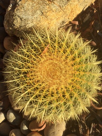 2017-11-21 15.39.32-1.jpg