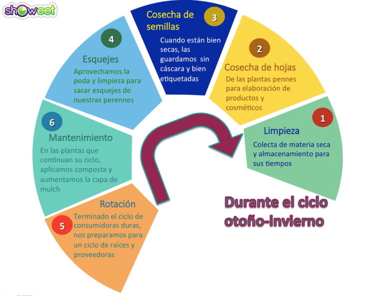 Captura de pantalla 2018-01-30 a las 11.52.41 a.m.